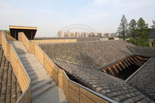 鄉(xiāng)院建設(shè)丨建筑材料專輯之瓦